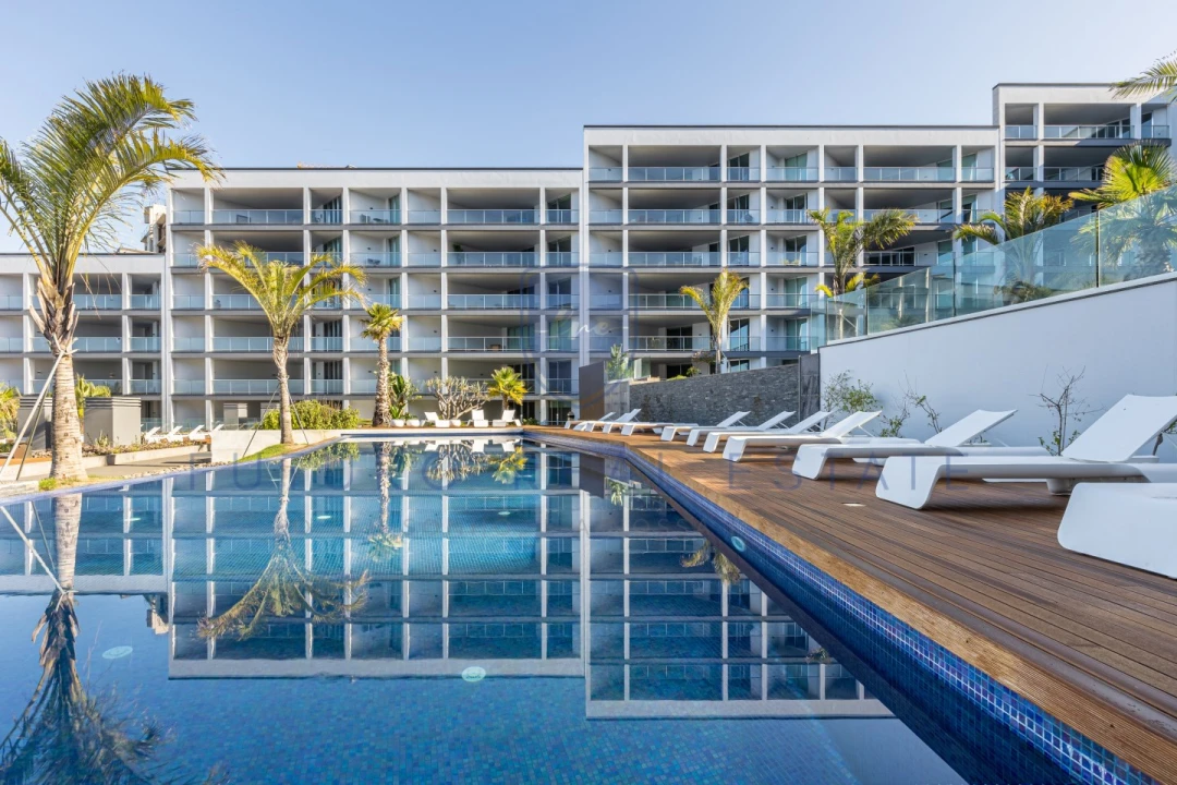 Negócio para Venda em São Martinho Foto 6