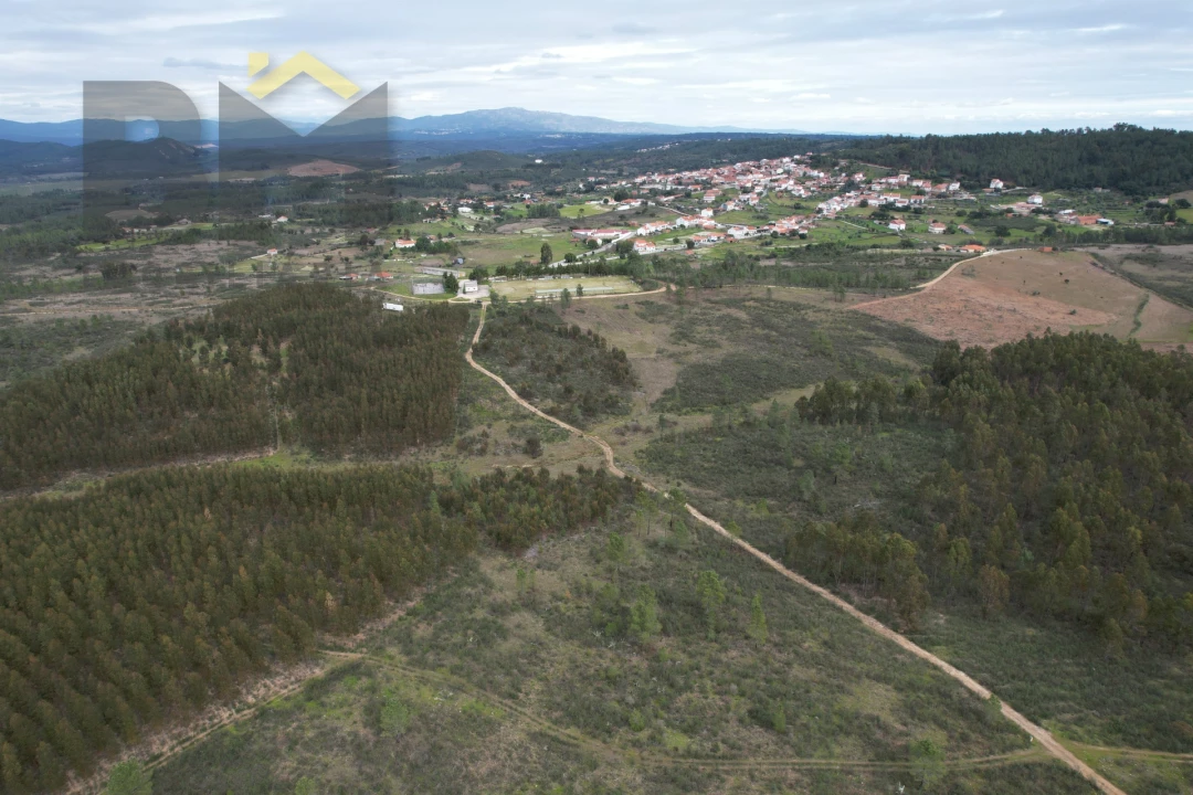 Terreno Agricola ou Rústico para Venda em Salgueiro do Campo Foto 3