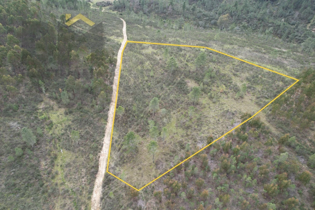 Terreno Agricola ou Rústico para Venda em Salgueiro do Campo Foto 2
