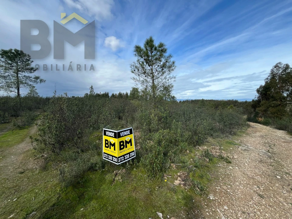Terreno Agricola ou Rústico para Venda em Salgueiro do Campo Foto 5