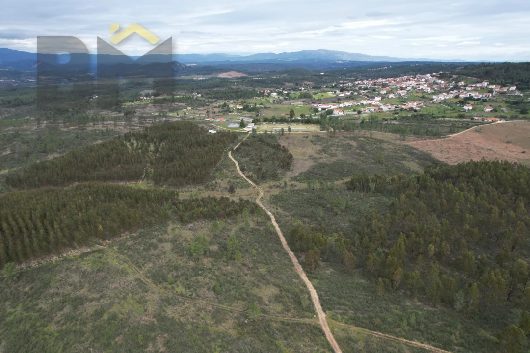 Terreno Agricola ou Rústico para Venda em Salgueiro do Campo Foto 1