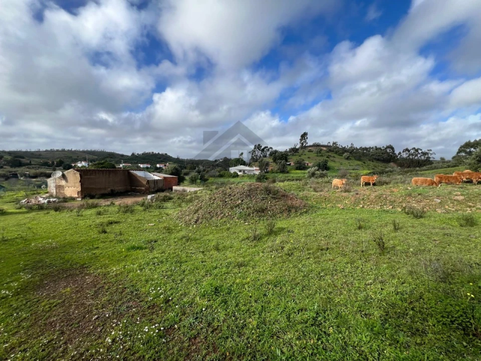 Quinta T2 para Venda em Mexilhoeira Grande Foto 6
