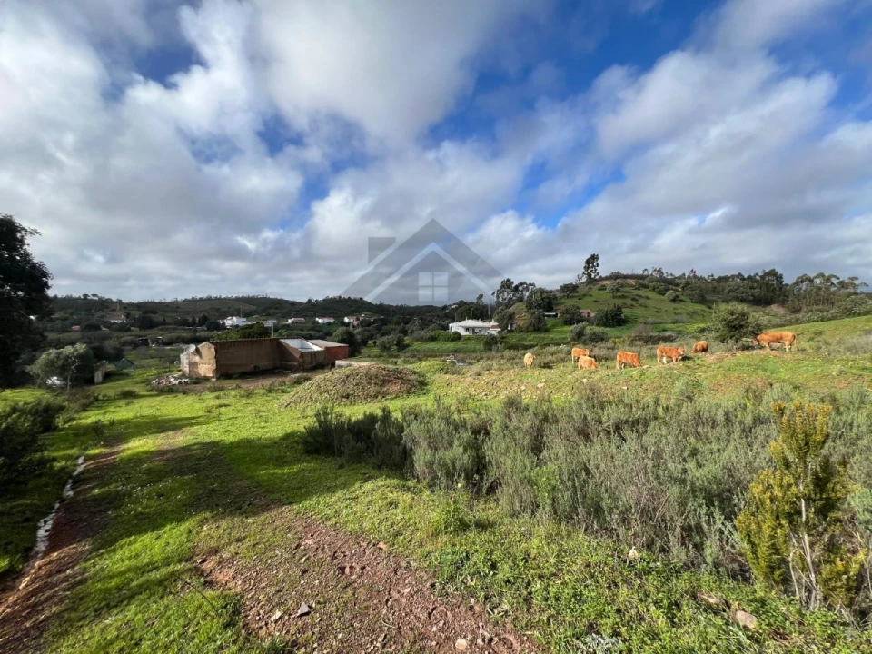 Quinta T2 para Venda em Mexilhoeira Grande Foto 7