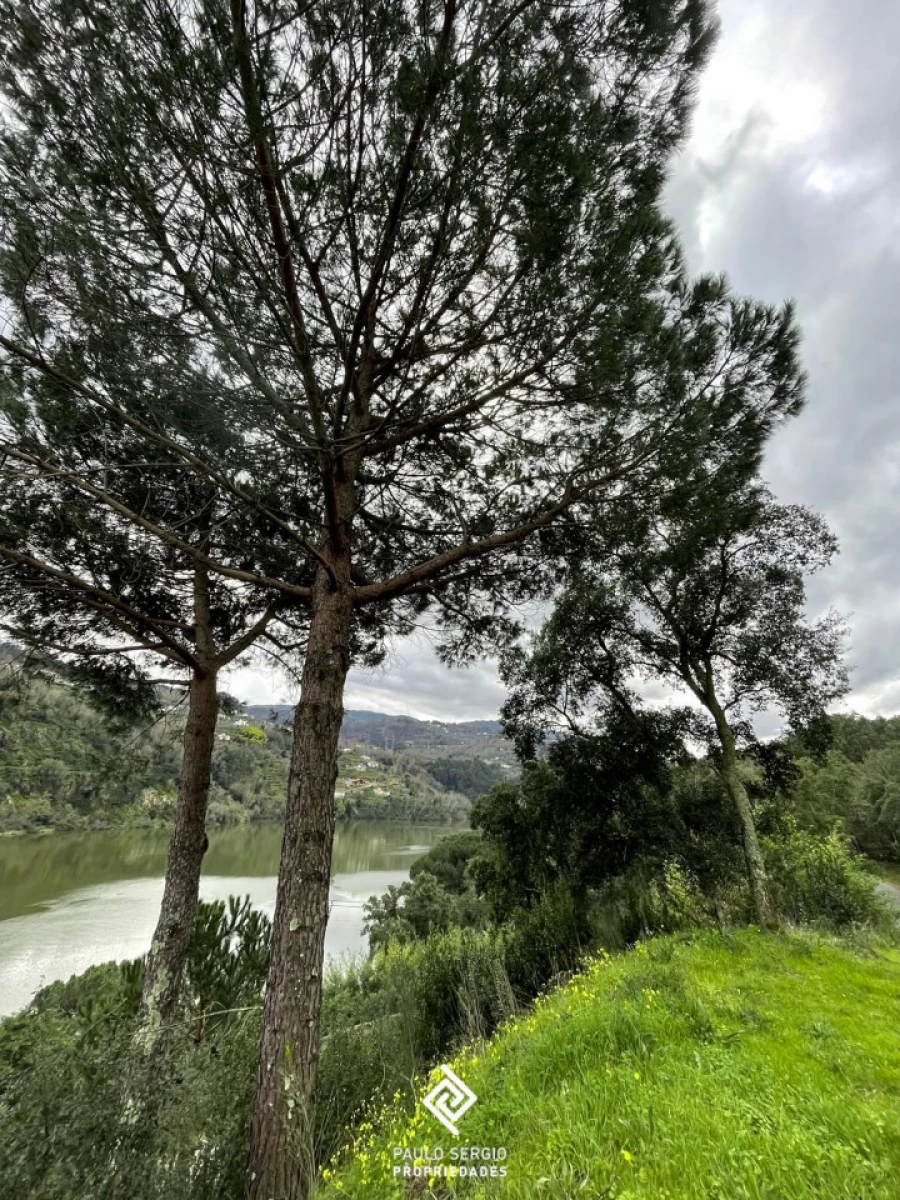 Terreno para Venda em Penhalonga e Paços de Gaiolo Foto 9