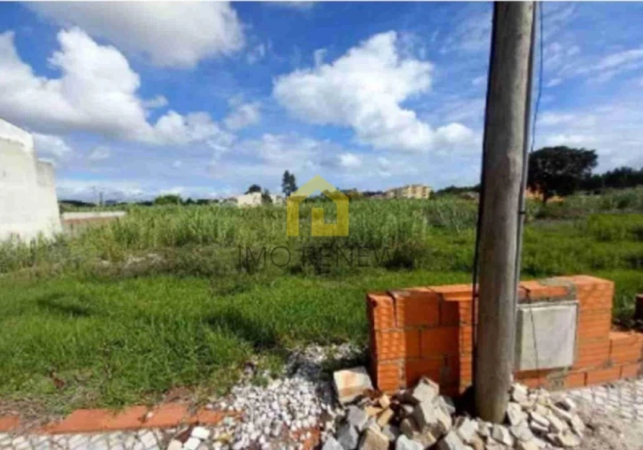 Terreno para Venda em Vagos e Santo António