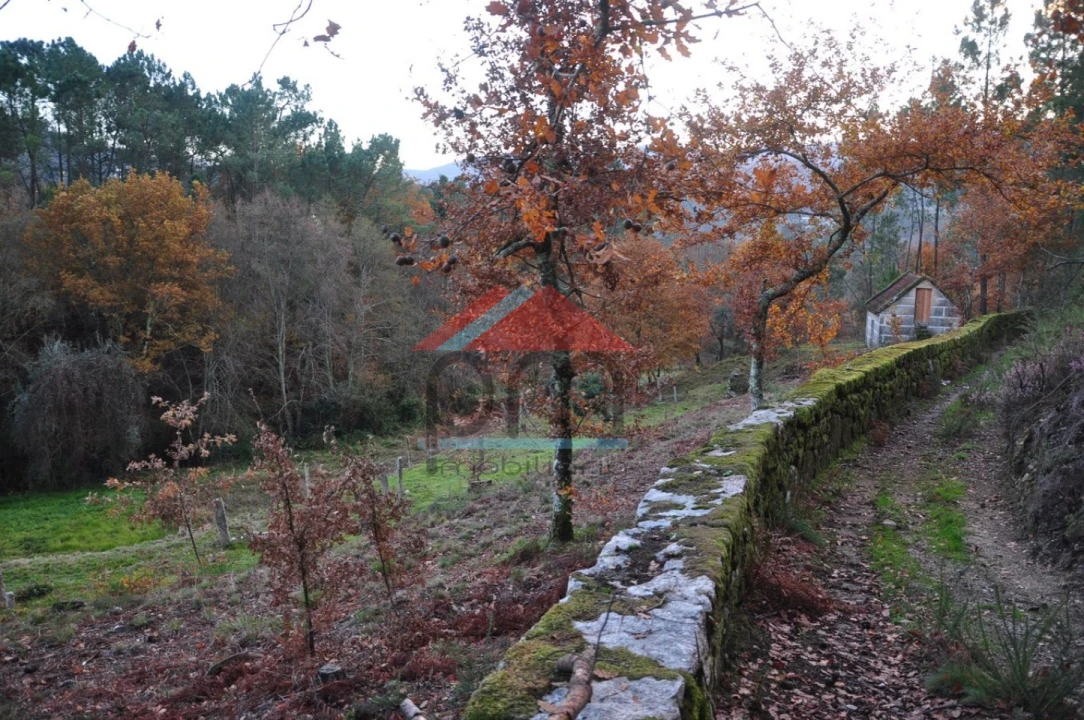 Terreno para Venda em Podame Foto 8