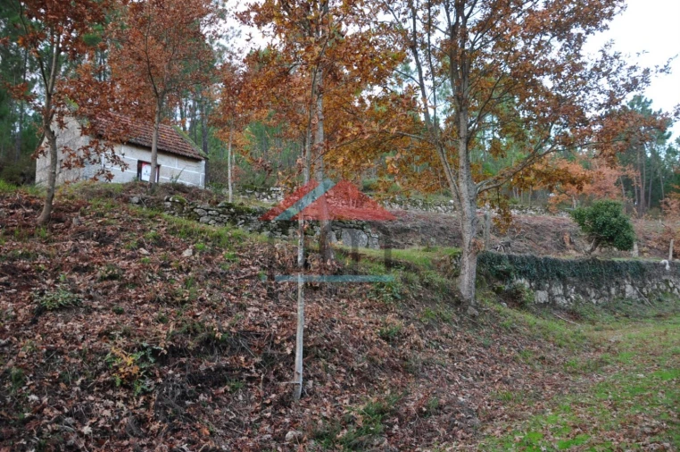 Terreno para Venda em Podame Foto 12