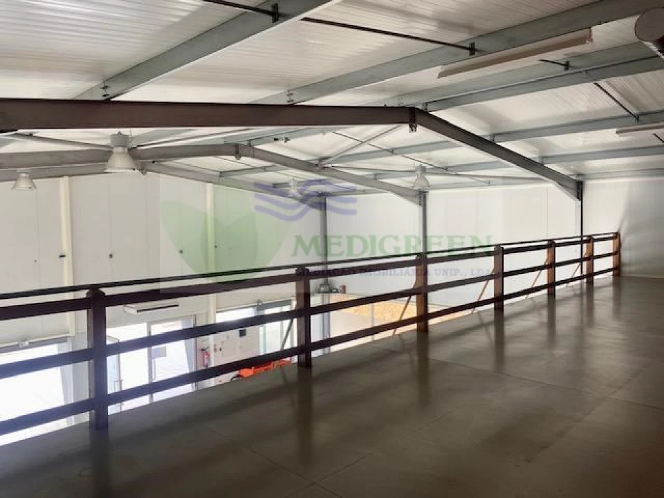 Armazém para Venda em Talhadas Foto 14