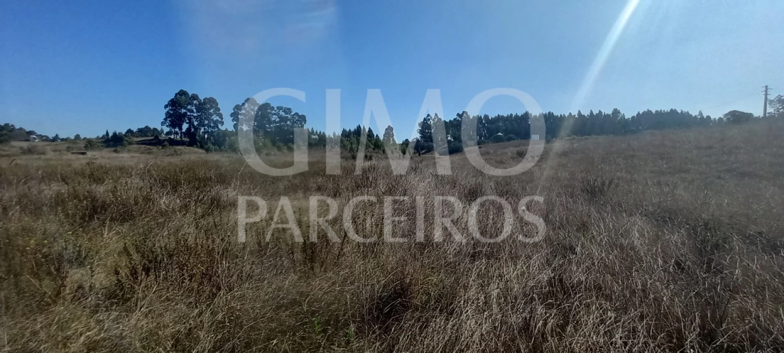 Terreno para Venda em Santo Andre de Vagos Foto 10