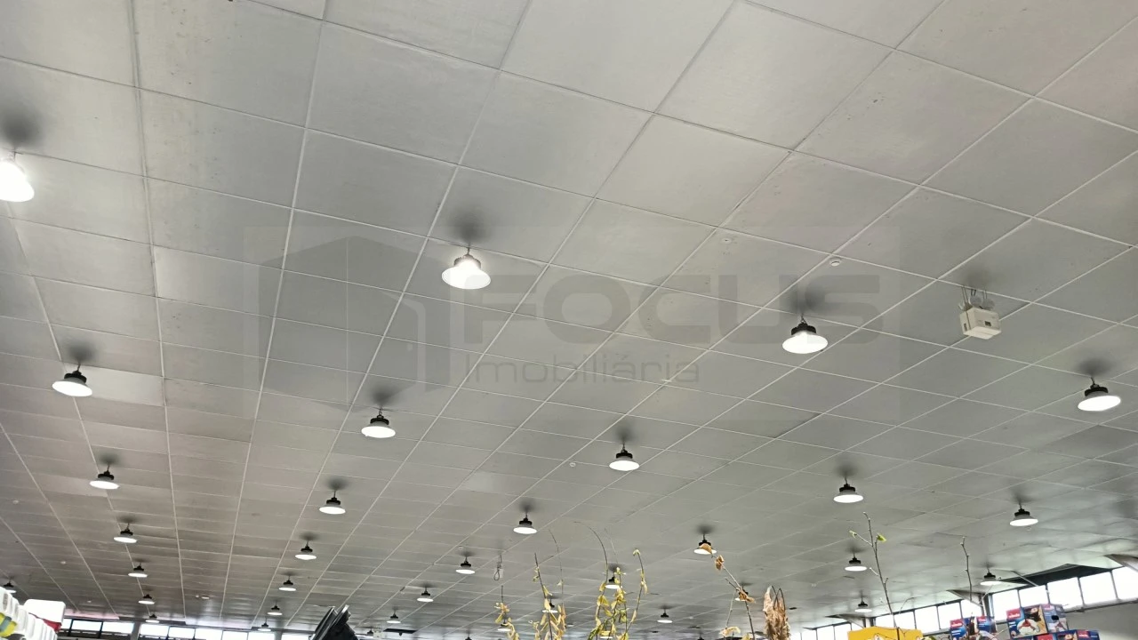 Armazém para Arrendamento em Oiã Foto 2