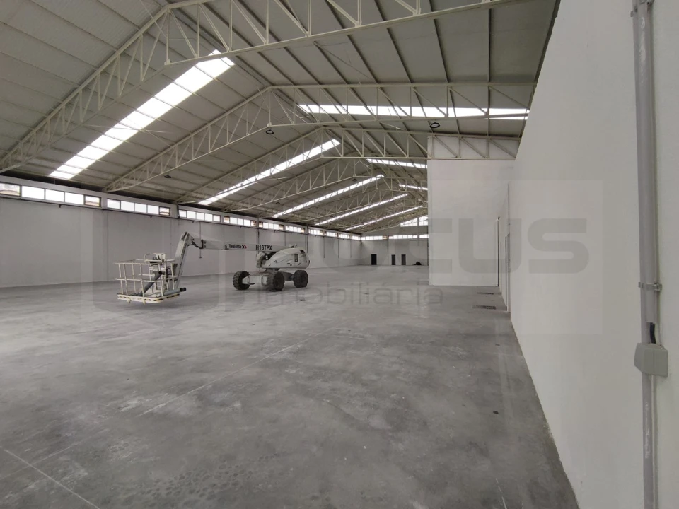 Armazém para Arrendamento em Oiã Foto 3