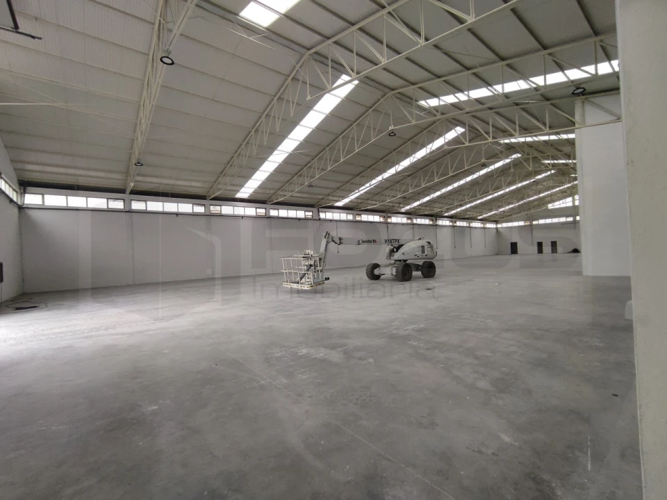 Armazém para Arrendamento em Oiã Foto 4