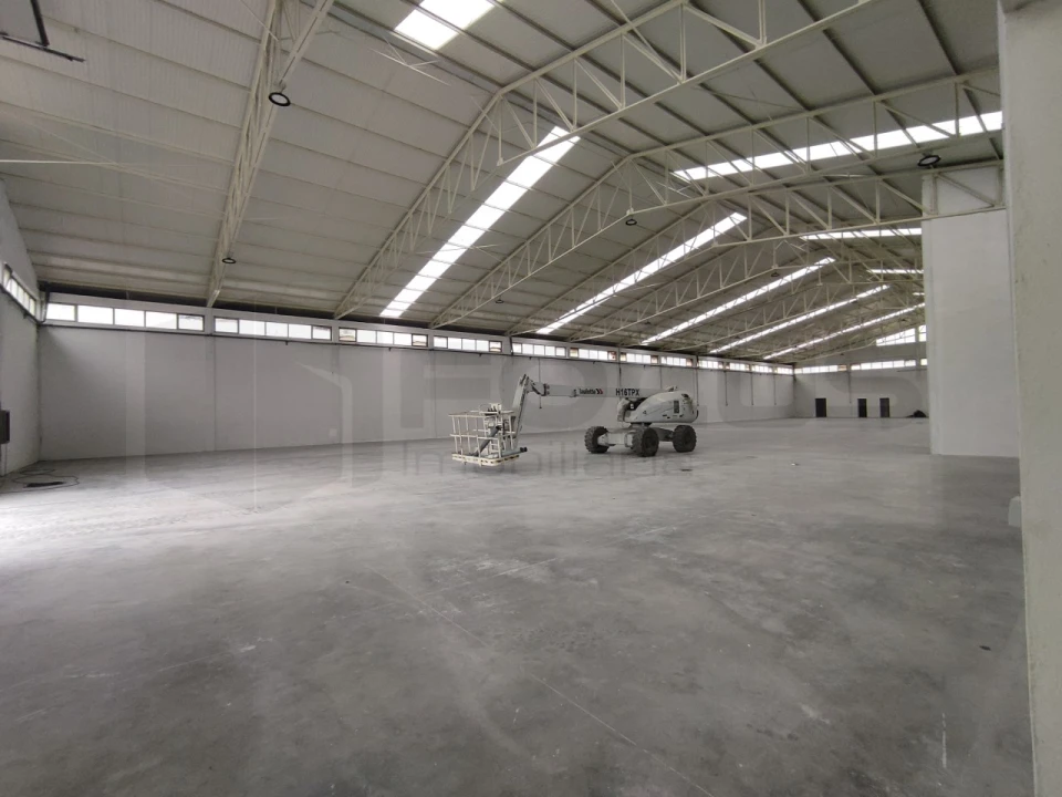 Armazém para Arrendamento em Oiã Foto 5