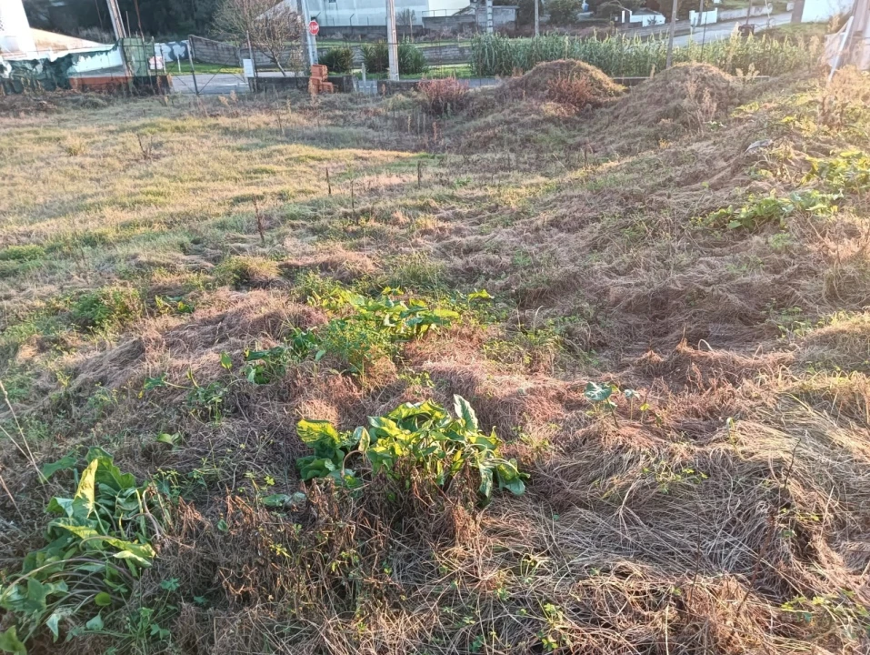 Terreno para Venda em Aradas Foto 11