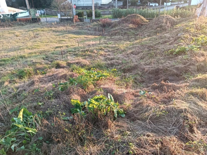 Terreno para Venda em Aradas Foto 11