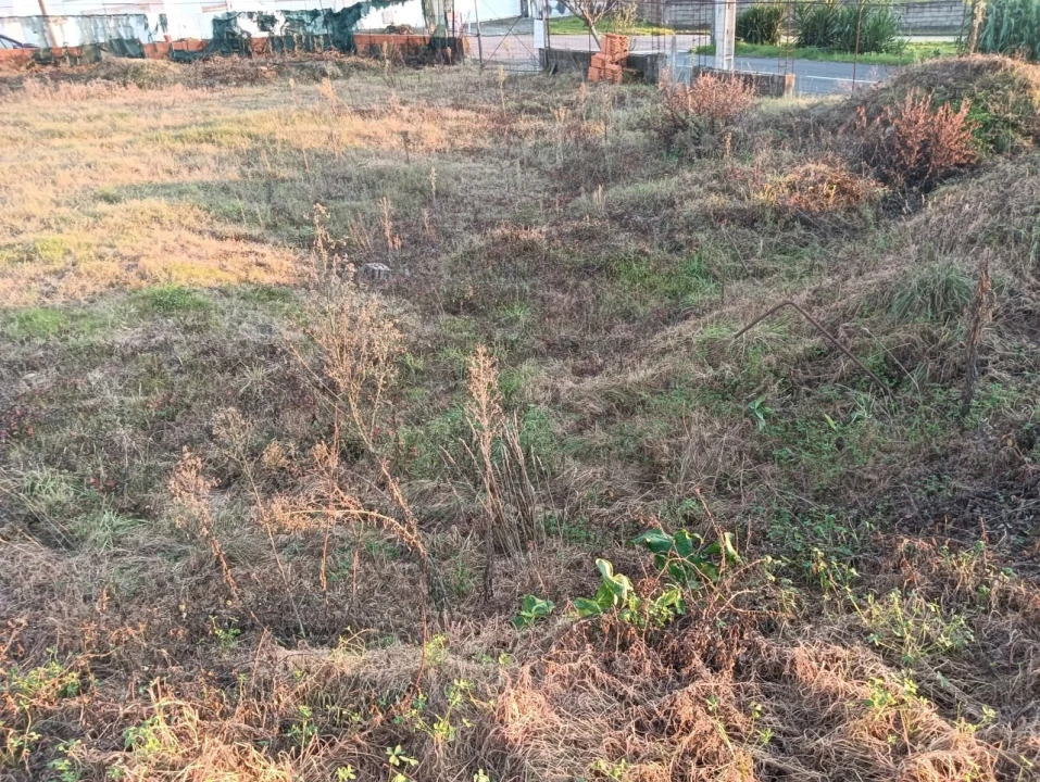 Terreno para Venda em Aradas Foto 5
