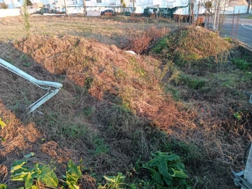 Terreno para Venda em Aradas