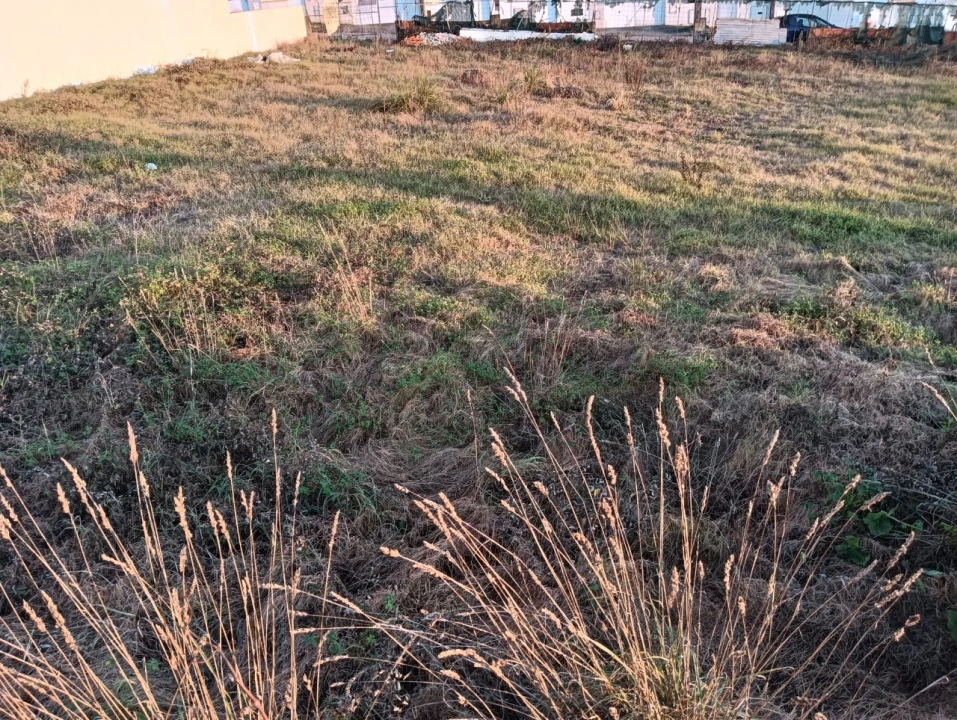 Terreno para Venda em Aradas Foto 7