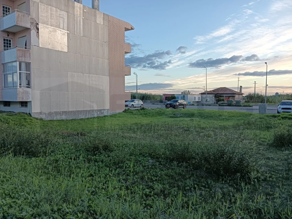 Terreno para Venda em Gafanha da Boa Hora Foto 4
