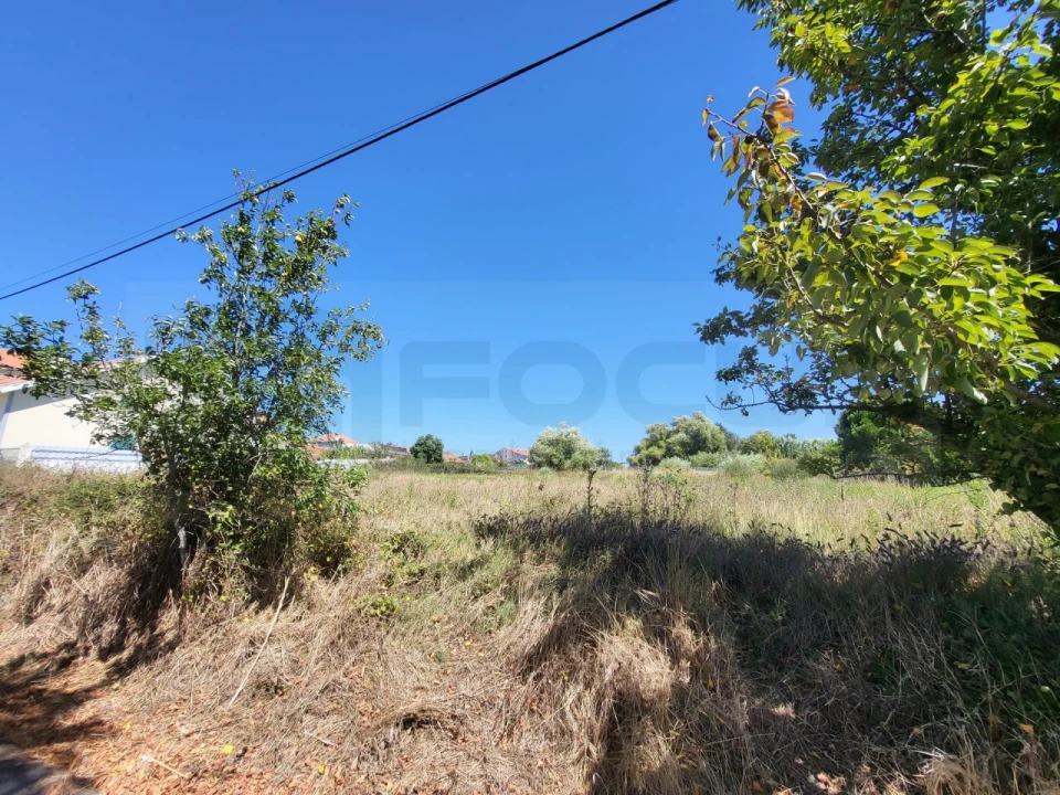 Terreno para Venda em Santa Joana Foto 2