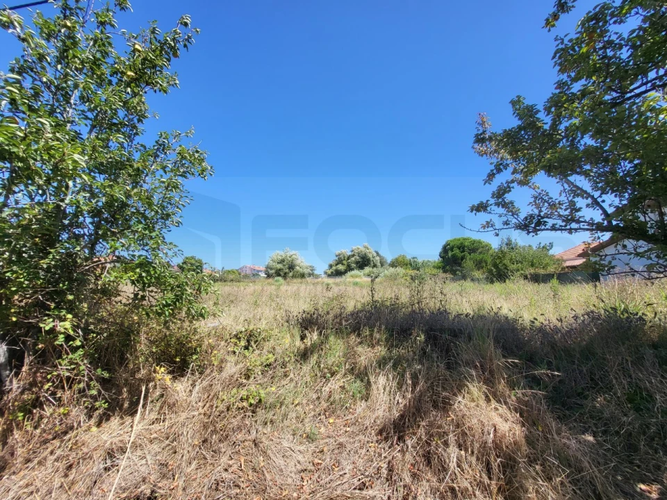 Terreno para Venda em Santa Joana Foto 3