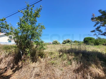 Terreno para Venda em Santa Joana