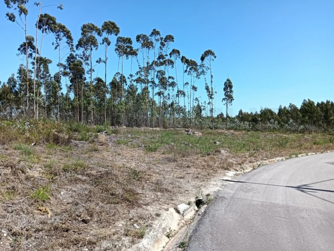Terreno para Venda em Angeja Foto 5