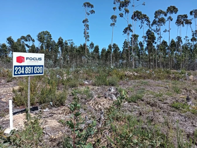 Terreno para Venda em Angeja