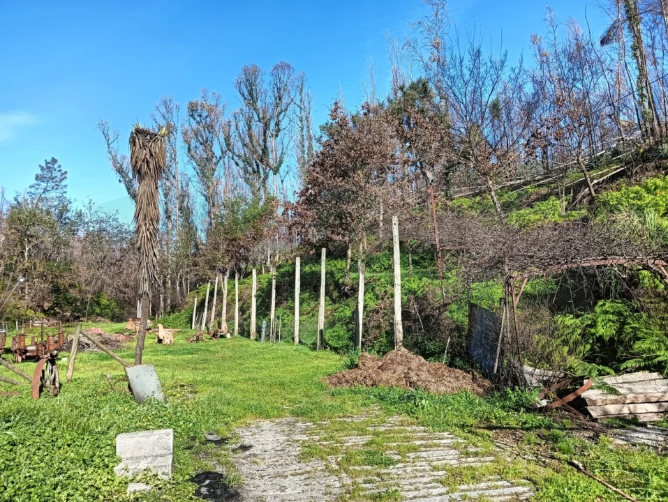 Terreno para Venda em Angeja Foto 1