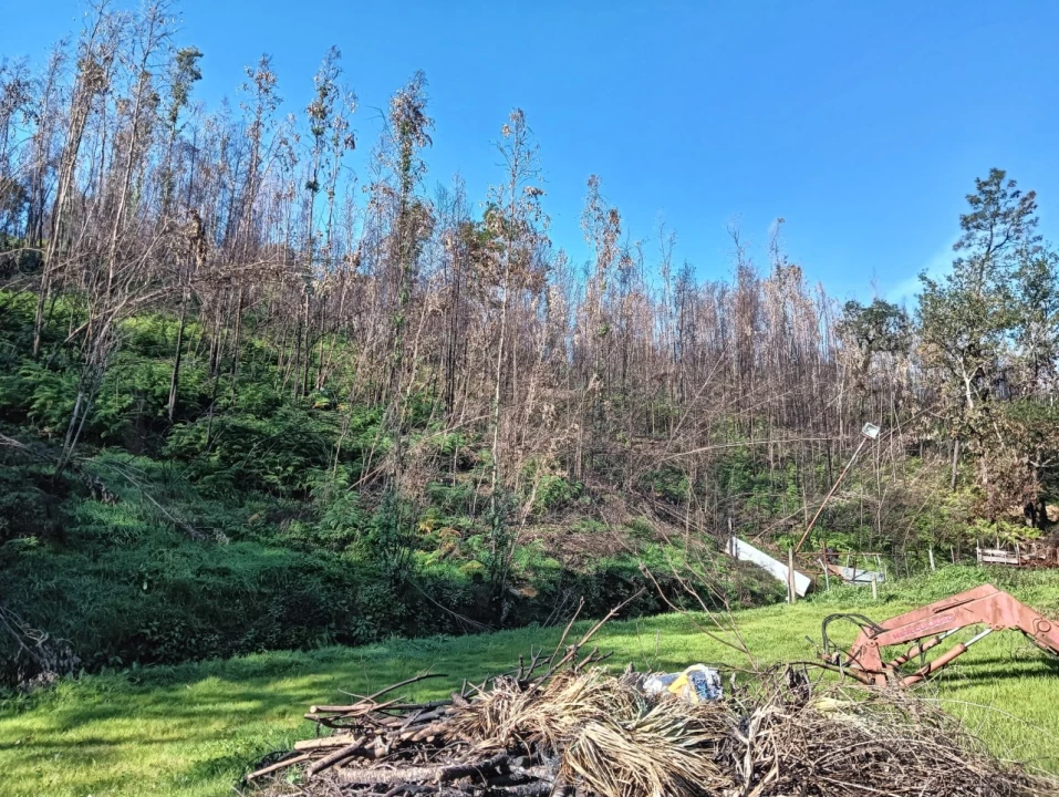 Terreno para Venda em Angeja Foto 10