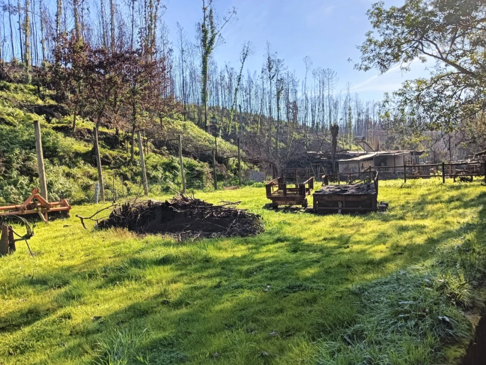 Terreno para Venda em Angeja Foto 13