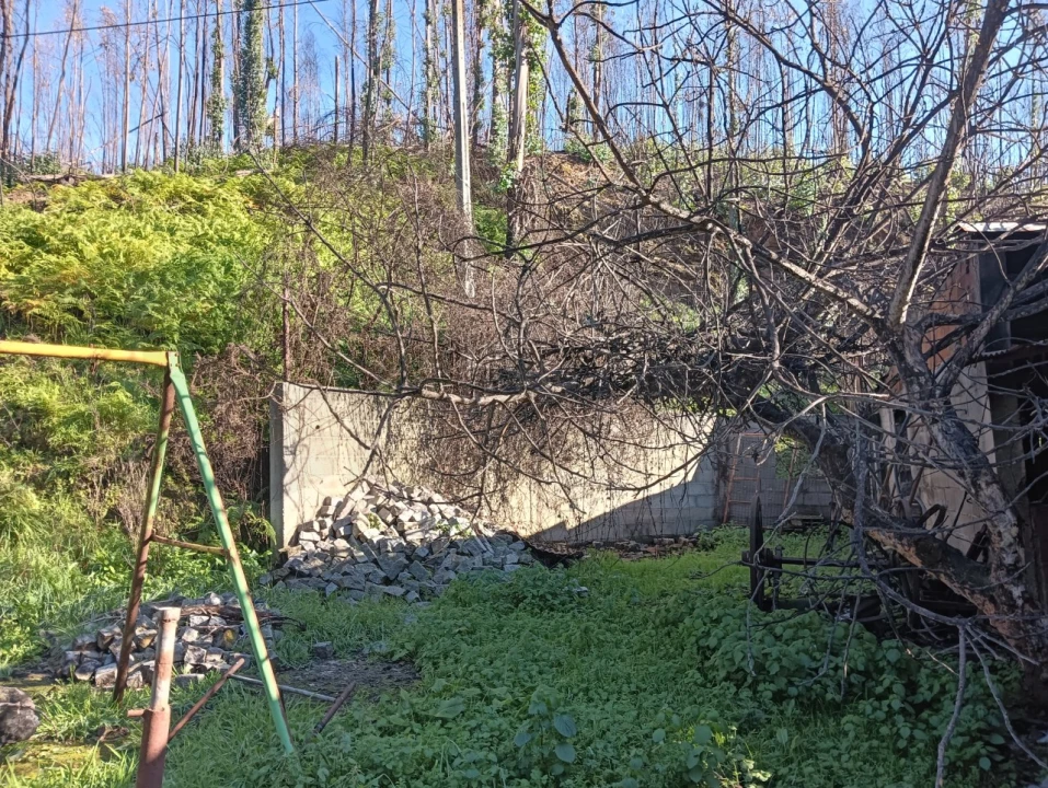 Terreno para Venda em Angeja Foto 17