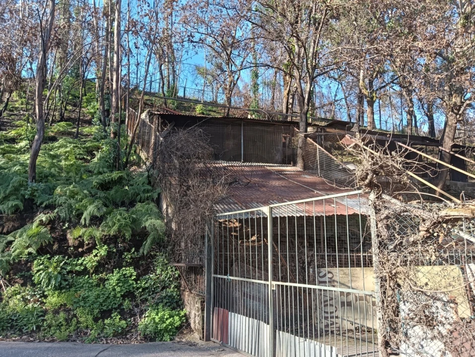 Terreno para Venda em Angeja Foto 21