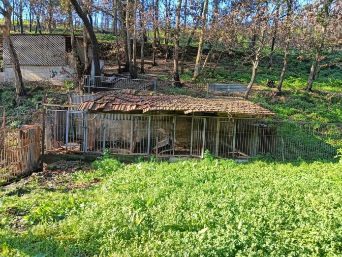 Terreno para Venda em Angeja Foto 6