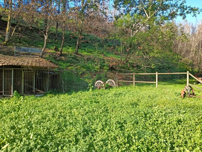 Terreno para Venda em Angeja Foto 7