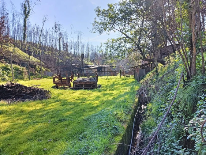 Terreno para Venda em Angeja Foto 11
