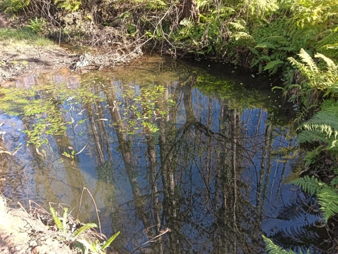 Terreno para Venda em Angeja Foto 14