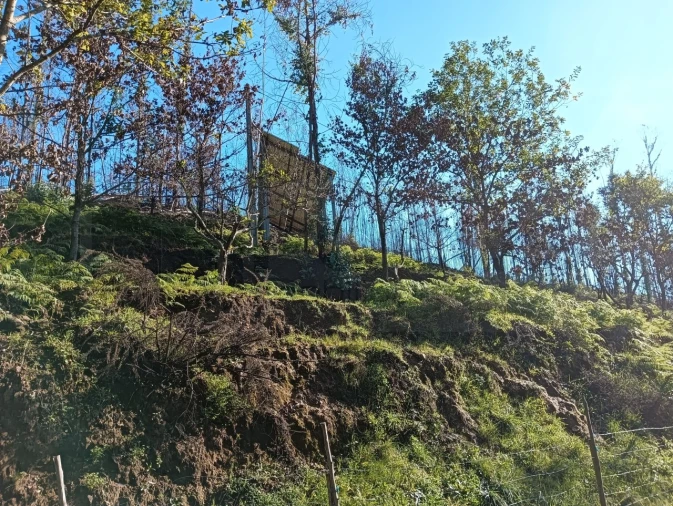 Terreno para Venda em Angeja Foto 15