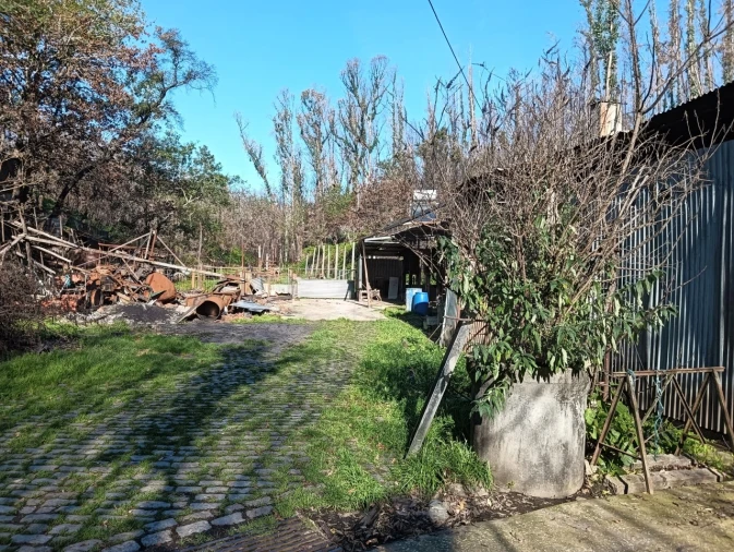 Terreno para Venda em Angeja Foto 20