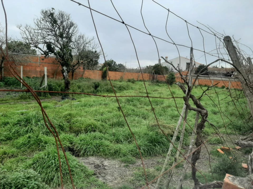 Terreno para Venda em Calvão Foto 5