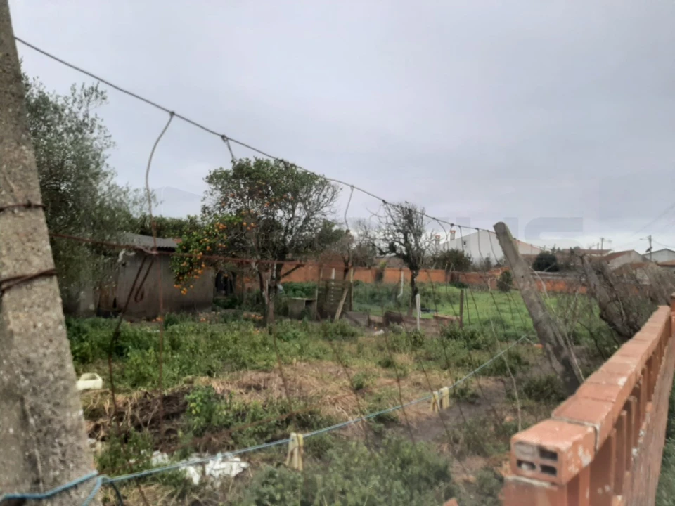 Terreno para Venda em Calvão Foto 7