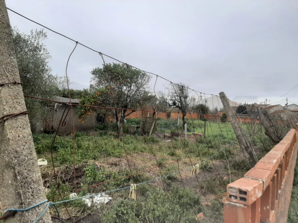 Terreno para Venda em Calvão Foto 9
