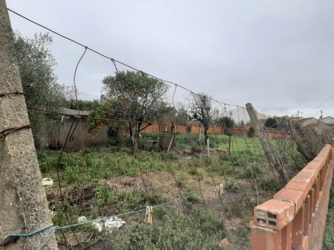 Terreno para Venda em Calvão Foto 9