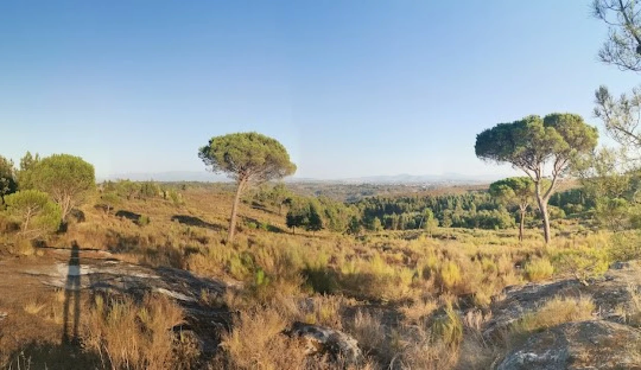 Terreno para Venda em Currelos, Papízios e Sobral Foto 2