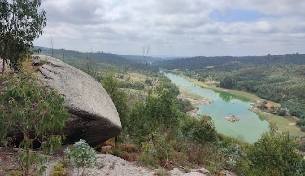 Terreno para Venda em Currelos, Papízios e Sobral Foto 5