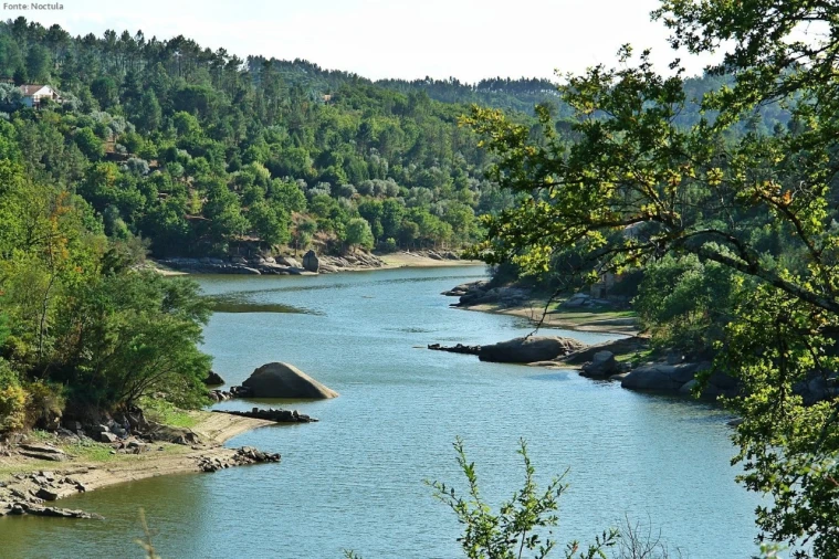 Terreno para Venda em Currelos, Papízios e Sobral Foto 1