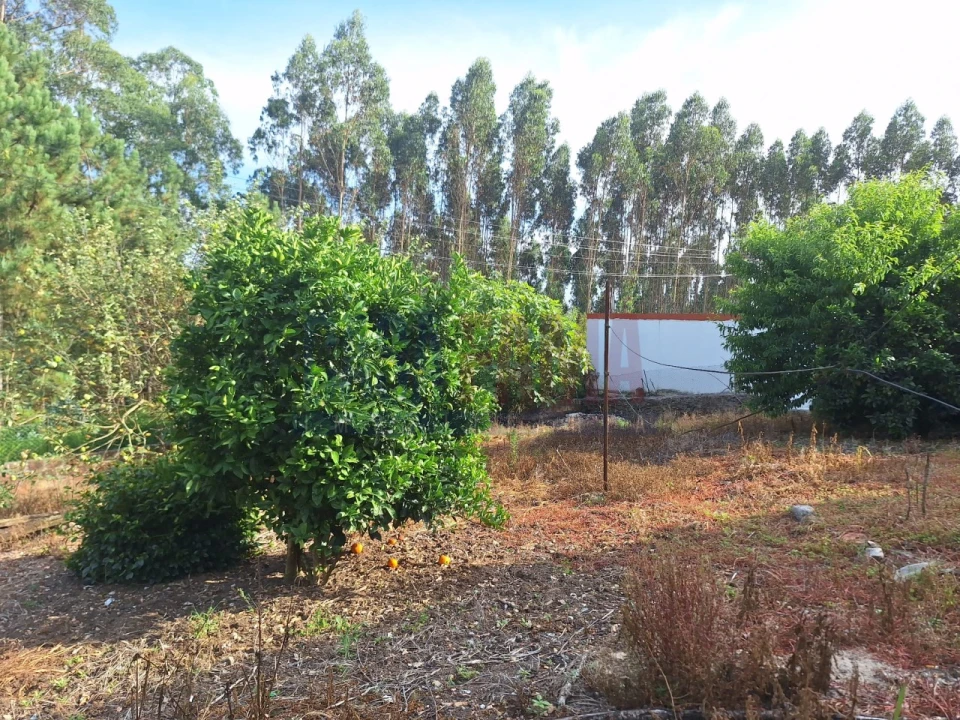 Terreno para Venda em Bagunte, Ferreiró, Outeiro Maior e Parada Foto 4