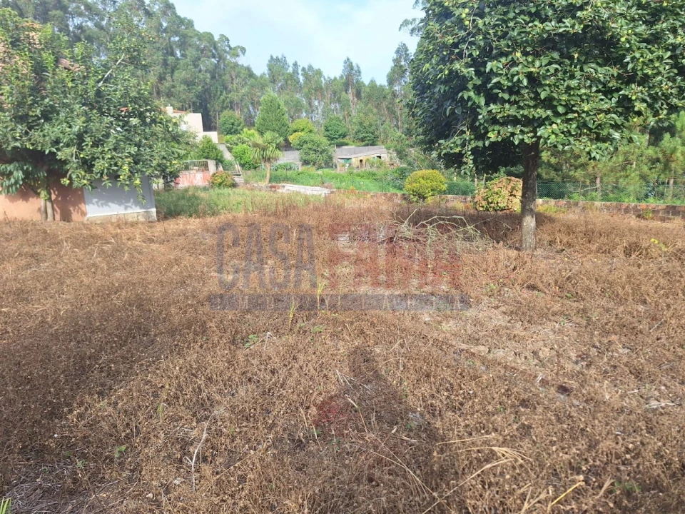 Terreno para Venda em Bagunte, Ferreiró, Outeiro Maior e Parada Foto 9