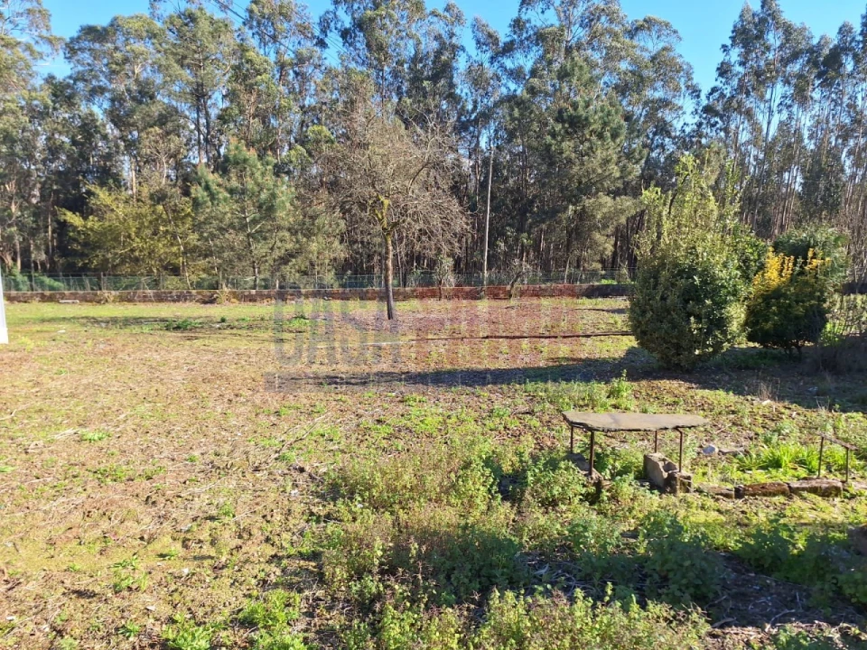 Terreno para Venda em Bagunte, Ferreiró, Outeiro Maior e Parada Foto 19