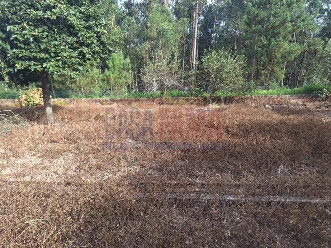 Terreno para Venda em Bagunte, Ferreiró, Outeiro Maior e Parada Foto 11